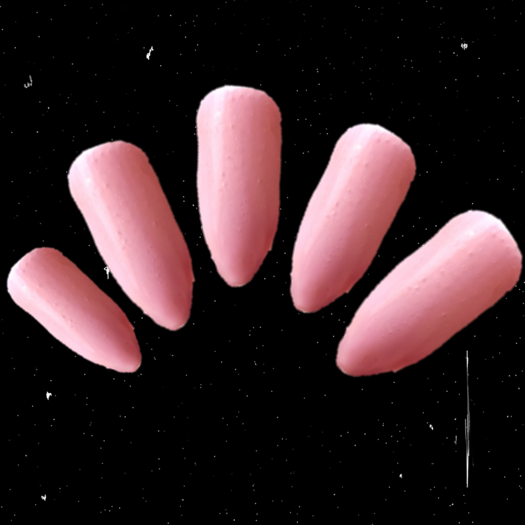 Pale pink stick on nails gloss