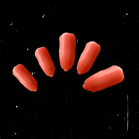 Coral pink stick-on nails 