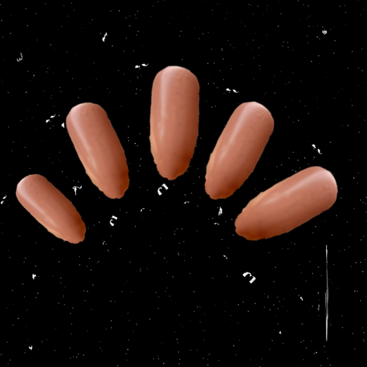 Latte brown fake nails 