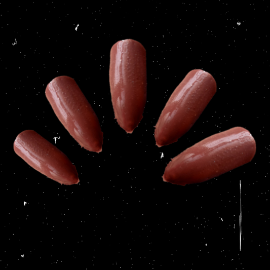 Deep Brown fake nails 