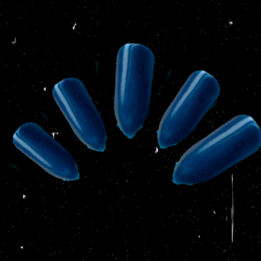 dark blue green press on enhancements 